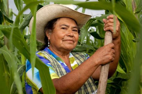 Rol desempeñado por la mujer campesina de las provincias del